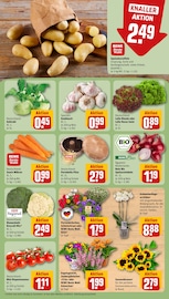 Pilze Angebot im aktuellen REWE Prospekt auf Seite 7