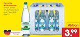 Netto Marken-Discount Abtlöbnitz - Mineralwasser Angebot im Prospekt Mineralwasser bei Netto Marken-Discount im Abtlöbnitz Prospekt für 3,99 €