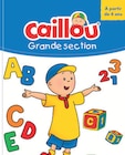 Livre d'apprentissage enfant - CAILLOU en promo à 2,99 € chez Lidl Livre d'apprentissage enfant - CAILLOU dans le catalogue Lidl