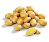 Promo Pomme de terre Amandine à 1,75 € dans le catalogue Lidl à Nîmes