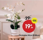 Orchidée Mick H.80cm en promo chez Maxi Bazar Nîmes à 19,99 €