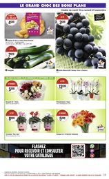 Prix et réduction Cyclamen dans le prospectus Casino Supermarchés en cours Offre Cyclamen dans le catalogue Casino Supermarchés du moment à la page 13