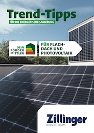 Bauzentrum Zillinger Prospekt für Aidenbach: "Trend-Tipps FÜR DIE ENERGETISCHE SANIERUNG", 8 Seiten, 04.10.2024 - 13.10.2024