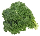 Grünkohl bei REWE im Bodenheim Prospekt für 1,69 €