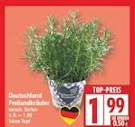 EDEKA Hoppegarten - Freilandkräuter Angebot im Prospekt Freilandkräuter bei EDEKA im Hoppegarten Prospekt für 1,99 €