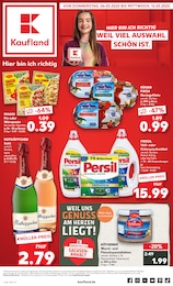 Kaufland Prospekt für Halle: "Aktuelle Angebote", 56 Seiten, 06.03.2025 - 12.03.2025