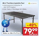 Mini Tischtennisplatte Fexi bei Netto Marken-Discount im Höfen Prospekt für 79,99 €