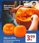 Halloween-Kürbis im ALDI SÜD Prospekt Halloween-Kürbis von im aktuellen ALDI SÜD Prospekt für 3,99 €