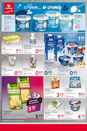 Joghurt Angebot im aktuellen Selgros Prospekt auf Seite 10