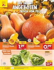 Aktueller Netto Marken-Discount Prospekt mit Kürbis, "Aktuelle Angebote", Seite 6