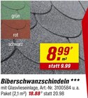 Biberschwanzschindeln bei toom Baumarkt im Freiburg Prospekt für 18,88 €