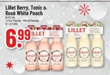 Aktuelles Berry, Tonic o. Rosé White Peach Angebot bei Trinkgut in Recklinghausen ab 6,99 €