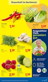 Aktueller Lidl Prospekt mit Bio Lebensmittel, "LIDL LOHNT SICH", Seite 9