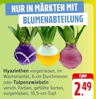 Hyazinthen bei E center im Schorndorf Prospekt für 2,49 €