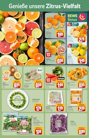 Bohnen im REWE Prospekt in Neuss Aktueller REWE Prospekt mit Bohnen, "Dein Markt", Seite 6