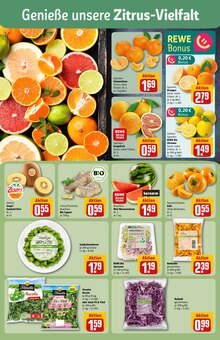 Rucola im aktuellen REWE Prospekt (Düsseldorf) Rucola im REWE Prospekt "Dein Markt" mit 34 Seiten (Düsseldorf)