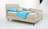 Aktuelles Boxspringbett Sansibar Poel Angebot bei Trends in Wuppertal ab 899,00 €