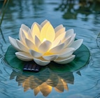 Solar-Lotusblume im Angebot bei Zimmermann in Gifhorn Solar-Lotusblume Angebote bei Zimmermann Gifhorn für 3,99 €