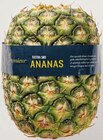 Ananas ohne Krone im Netto mit dem Scottie Prospekt Ananas ohne Krone von Premieur im aktuellen Netto mit dem Scottie Prospekt für 1,99 €