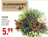 Aktuelles TULPEN Angebot bei Marktkauf in Düsseldorf ab 5,99 €