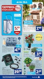 Aktueller ALDI SÜD Prospekt mit Blumen, "Gutes für Alle.", Seite 21