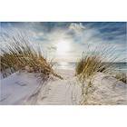 Keilrahmenbild Angebote bei POCO Iserlohn für 29,99 €