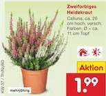 Zweifarbiges Heidekraut im Netto Marken-Discount Prospekt Zweifarbiges Heidekraut von im aktuellen Netto Marken-Discount Prospekt fĂŒr 1,99 âŹ