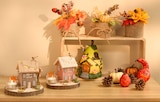 Herbstbouquet bei Woolworth im Geretsried Prospekt für 3,50 €
