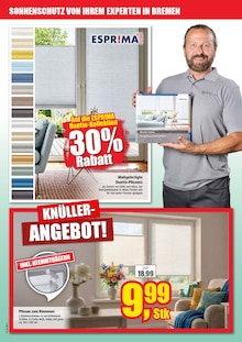 Gardinen im Witthus Heimtex-Fachmarkt GmbH Prospekt "FRÜHLINGS TRENDS ZUM KNÜLLER-PREIS!" mit 16 Seiten (Bremen)