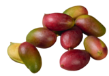 Mango im Angebot bei tegut in Bamberg Mango Angebote bei tegut Bamberg für 0,99 €