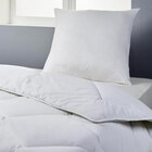 L'oreiller anti-acariens - TEX HOME - Carrefour à Strasbourg L'oreiller anti-acariens - TEX HOME en promo chez Carrefour Strasbourg à 12,99 €