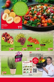 Aktueller Selgros Prospekt mit Salat, "cash & carry", Seite 4