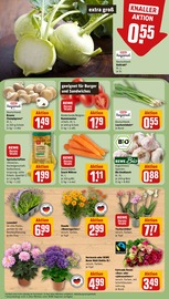 Aktueller REWE Prospekt mit Hortensie, "Dein Markt", Seite 11