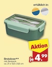 famila Nordwest - Brotdose Angebot im Prospekt Brotdose bei famila Nordwest im Prospekt für 4,99 €