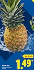Ananas, lose bei Lidl im Fehrbellin Prospekt für 1,49 €