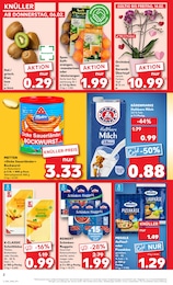 Kaufland Keramik Übertopf im Prospekt 