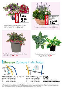 Blumen im Hoeren Gartencenter Prospekt "DEINE BLÜHENDE TERRASSE" mit 8 Seiten (Gelsenkirchen)