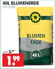 Wreesmann Hohenstein-Ernstthal - BLUMENERDE Angebot im Prospekt BLUMENERDE bei Wreesmann im Hohenstein-Ernstthal Prospekt für 1,99 €