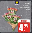 EDEKA Heiligenhafen Prospekt mit  im Angebot für 4,99 €