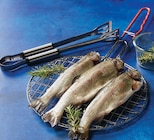 U Express Ruffieux - Promo Truite prêt à cuire Promo Truite prêt à cuire à 9,90 € dans le catalogue U Express à Ruffieux