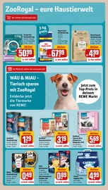 Aktueller REWE Prospekt mit Sheba, "Dein Markt", Seite 26