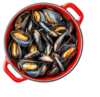 Moules de bouchot STG en promo chez Lidl Moules de bouchot STG dans le catalogue Lidl