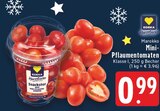 EDEKA Leichlingen - Snackster Rote Mini-Pflaumentomaten Angebot im Prospekt Snackster Rote Mini-Pflaumentomaten bei EDEKA im Leichlingen Prospekt für 0,99 €