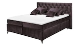 Aktuelles Boxspringbett Pembroke Angebot bei Sconto SB in Lübeck ab 1.299,00 €