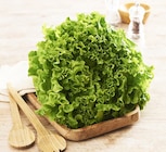 U Express Fellering - Promo Salade Batavia Promo Salade Batavia à 0,89 € dans le catalogue U Express à Fellering