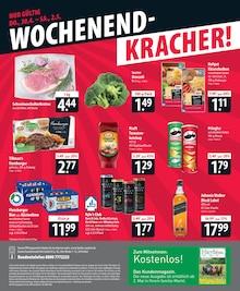 Cola im famila Nordost Prospekt "besser als gut!" mit 24 Seiten (Norderstedt)