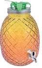 Getränkespender ANANAS Angebote bei Trends Haltern am See für 1,90 €