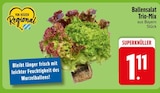 Ballensalat Trio-Mix im Angebot bei EDEKA in Passau Ballensalat Trio-Mix Angebote bei EDEKA Passau für 1,11 €