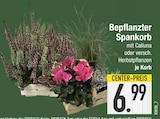 Bepflanzter Spankorb im EDEKA Prospekt Bepflanzter Spankorb von im aktuellen EDEKA Prospekt für 6,99 €