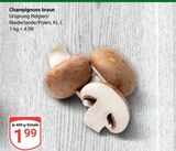 Champignons braun im Angebot bei GLOBUS in Erfurt Champignons braun Angebote bei GLOBUS Erfurt für 1,99 €